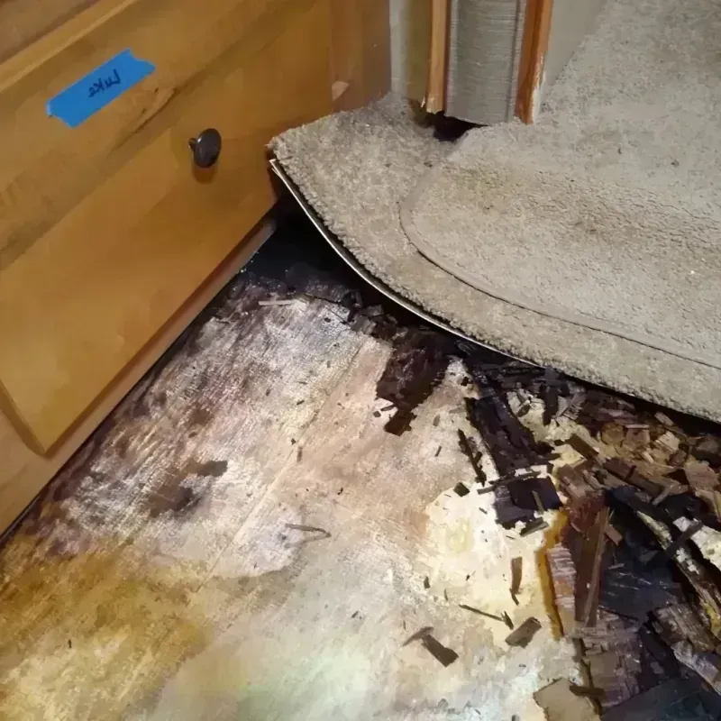 Wood Floor Water Damage in Rockville, MD